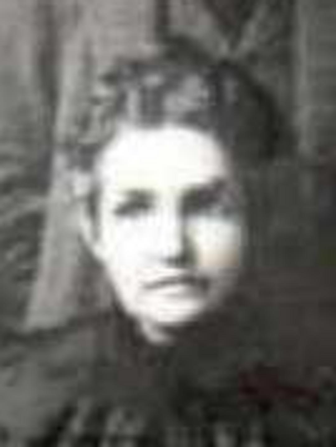 Elizabeth Evans (1843 - 1898) Profile